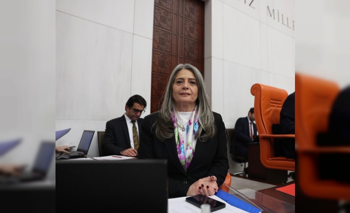 Sibel Suiçmez, TBMM Katip Üyeliğine Aday Olmayacağını Açıkladı