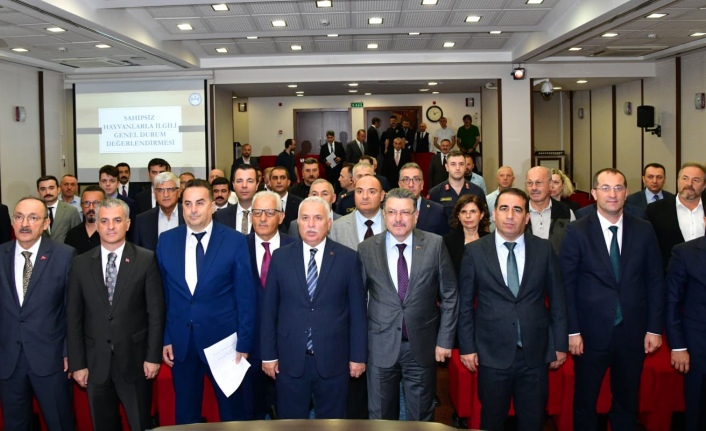 Sahipsiz hayvanları korumak için yeni adımlar atılıyor