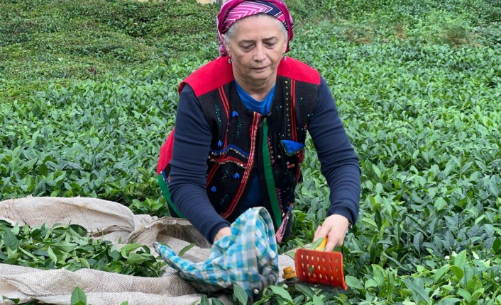 Sibel Suiçmez “Çay üreticisinin alın teri, özel sektörün insafına bırakılamaz.”