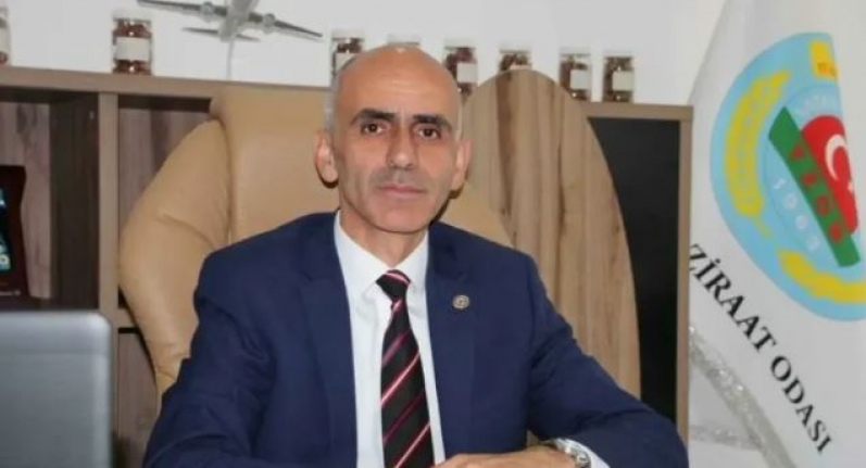 Karan ''Geçen seneye göre bu sene fındık üretimi 3/1 düştü''