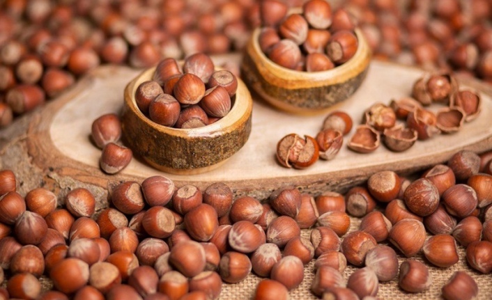 Fındık Fiyatlarında Kritik Eşik Aşağı Yönlü Hareket Etti Mi?