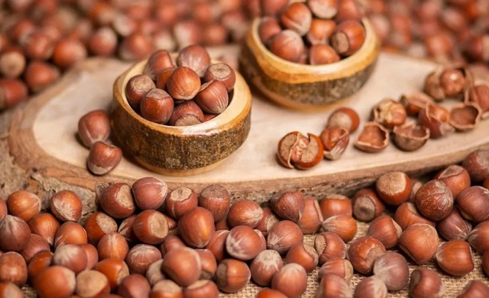 Türkiye’de Bugün Fındık Fiyatları Neden 240 TL ile 275 TL Arasında Seyrediyor?