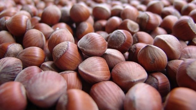 İKİ AYDA 28 BİN 900 TON FINDIK İHRAÇ EDİLDİ