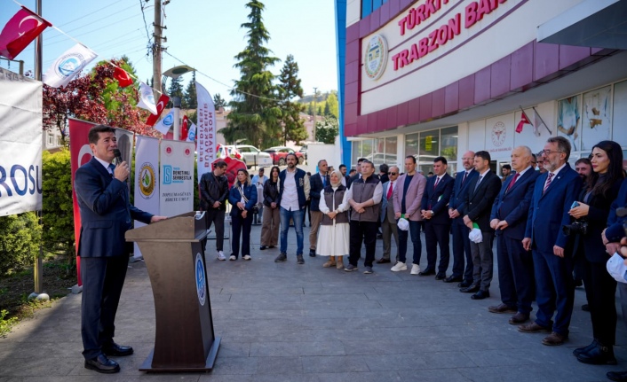 BAŞKAN KAYA, DOĞA VE HUKUK ORMANI İÇİN FİDAN DİKTİ