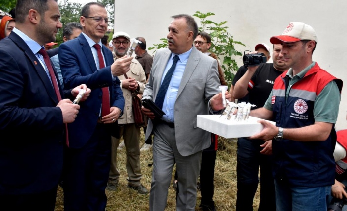 Tarım İl Müdürü İsa Kaplan ''Samuray Arılarımızı Doğaya Saldık''