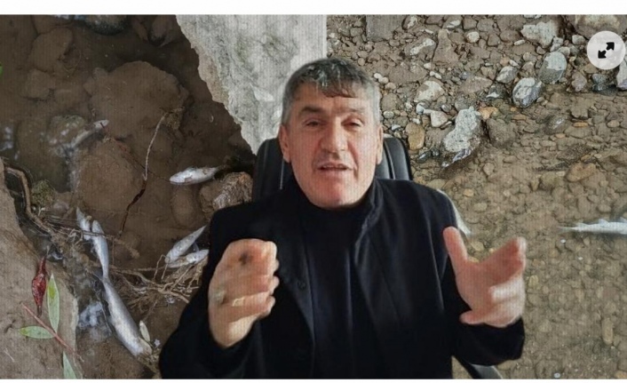Araklı İYİ Parti İlçe Başkanı’ndan Yanbolu Deresi’ndeki Balık Ölümlerine Tepki