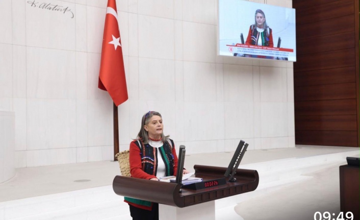 Av. Suiçmez ''Bakan Yumaklı‘ya Fındık Fiyatlarını Ne Zaman Açıklayacaksınız''
