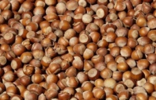 Fındık fiyatları güncellendi