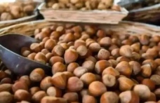 Piyasalarda Neler Oluyor?