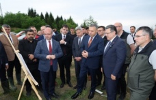 TRABZON'A 5 BİN HAYVANA EV SAHİPLİĞİ YAPACAK BARINAK GELİYOR