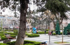 Trabzon Diğer İllerin Arkasında Kaldı