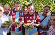 GENEL BAŞKAN ÖZEL, BAŞKAN KAYA İLE BİRLİKTE FINDIK TOPLADI