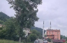 Tonya-düzköy yolunda trafik kazası 5 yaralı.