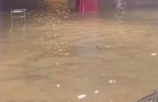 Devlet karayolu dereye döndü.