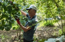 Masa başında değil işin mutfağında olan bir üretici olarak konuşan biriyim.