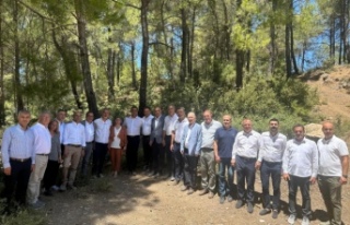 Av.Suiçmez yaşam katliamı durdurmalıdır dedi