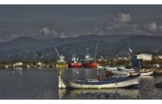 Dev dalgalar iki kişi’yi yuttu