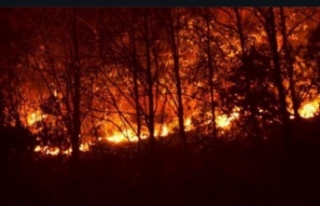 Sürmene’de orman yangını