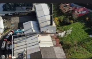 Çarşıbaşında hamsi kokusu hiç eksik olmuyor.