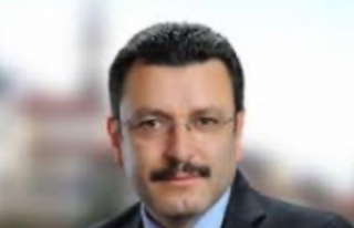 Neredesin metin bey