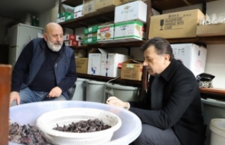 İSTİHDAMA YÖNELİK PROJELER HAYATA GEÇECEK