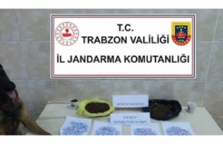 Jandarma uyuşturucu göz açtırmıyor