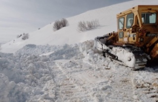 BÜYÜKŞEHİR BELEDİYESİ YAYLA YOLLARINI AÇIYOR