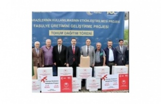 Müdür kaplan 18 ilçe 700 Dekar alana fasülye dikeçeğiz