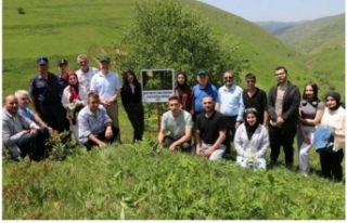 Dağ önünde fidan dikildi.