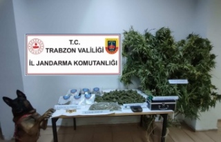Jandarma çok sayıda mermi ve uyuşturucu yakaladı