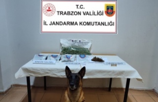 Jandarma Uyuşturucuya Göz Açtırmıyor