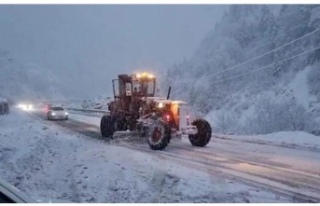 Uzungölü Kar Vurdu