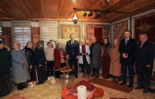 Aronya Bitkisiyle Doğal Boyamanın Halıcılıkta...