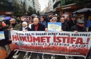 Emek Platformu Üyeleri Hükümet İstifa Dediler