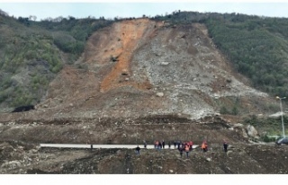 Giresun’dan Gürcistan'a giden 4 gençten haber...