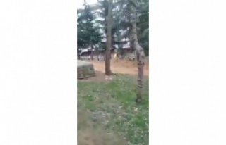 Parkın Ortasına bina yapılıyor