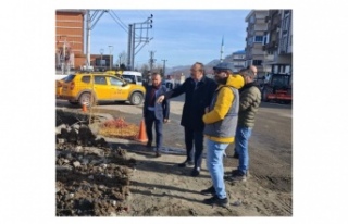 DÜZKÖY'E ÇAY BAHÇESi