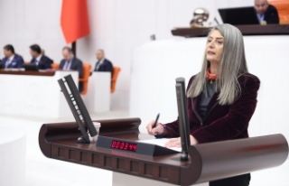 Sibel Suiçmez: “Laik Hukuk Devletinin Teminatı...