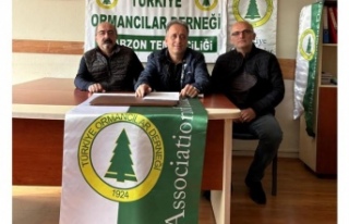 Ormanlar Gıda Güvenliğinin Teminatı