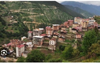 DOGANIN KATILI: PLANSIZ YAPILASMA!