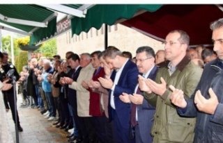 Seher anne hakka yürüdü