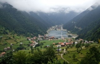 Uzungöl’de doğal gaz şart