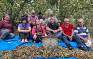 CHP Trabzon Milletvekili Suiçmez’den Tarım ve...