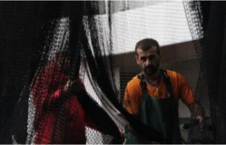 Balıkçılar 1 Eylül'de denize dönüyor
