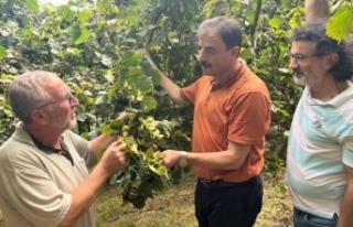 Başkan Eyüboğlu Uyardı