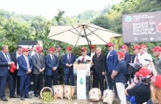 BAŞKAN GENÇ’TEN FINDIKTA KALİTE VE VERİM ÇAĞRISI