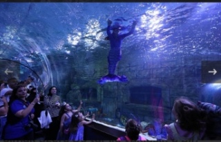 Deniz kızı büyüledi