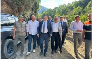 Dev Proje Başladi