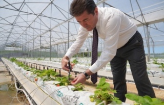 En Mutlu Köy'deki Üretim, Yüzleri Güldürüyor