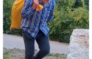 Fındık Üreticisi Yusuf Turgut ''Kokarca...